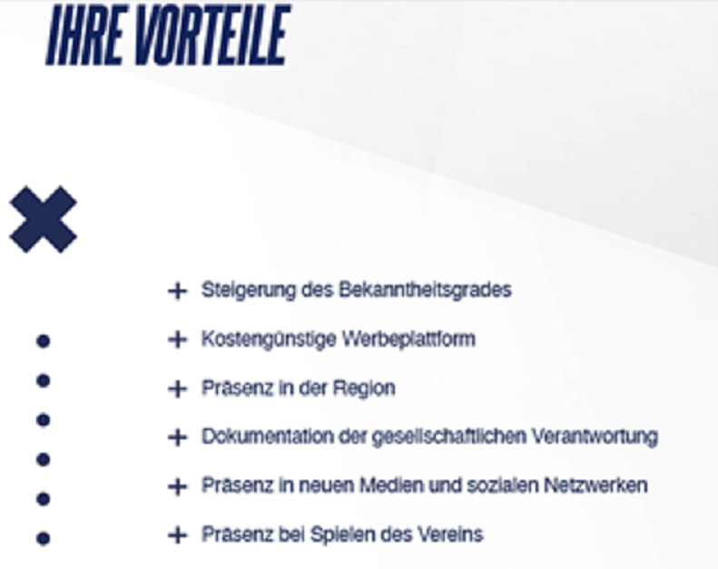 cropped-10_vorteil.png